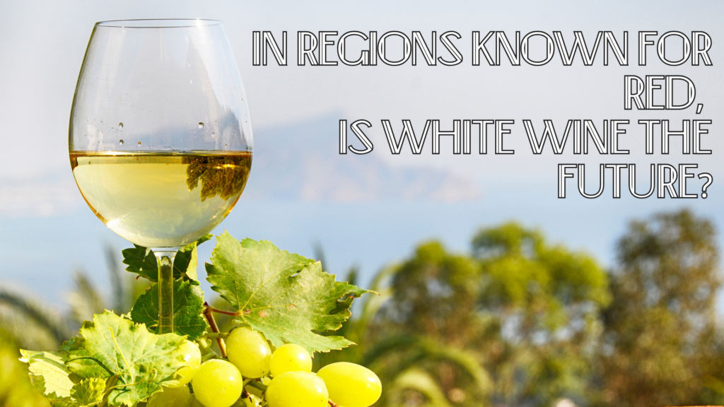 In Regions Known for Red, Is White Wine the Future?